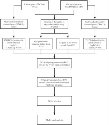 Breast Cancer Case Identification Based on Deep Learning and Bioinformatics Analysis